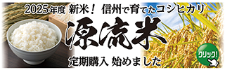 源流米SP