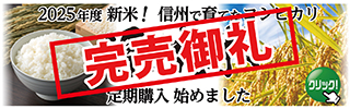 米完売SP