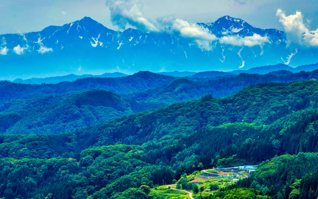 えのき茸イメージ