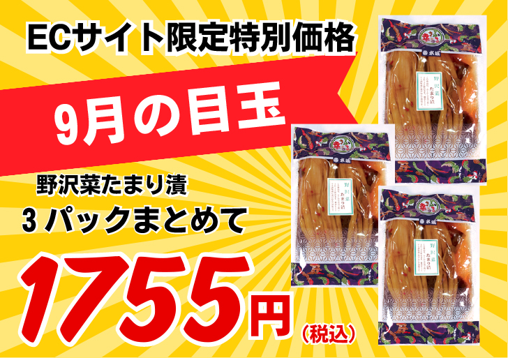 NバナーHP用