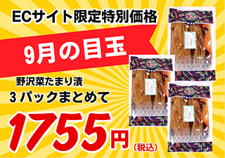 NバナーSP用